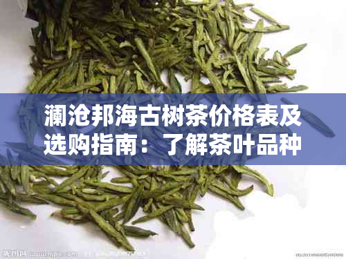 澜沧邦海古树茶价格表及选购指南：了解茶叶品种、品质与价格的全方位参考