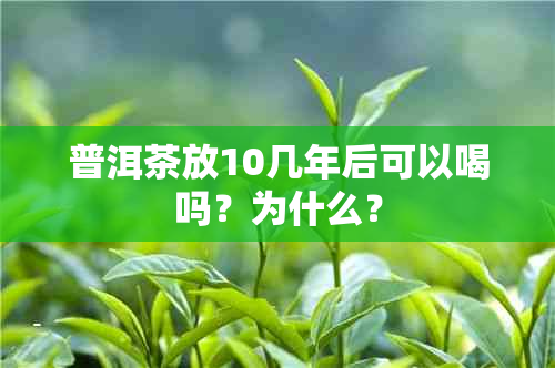 普洱茶放10几年后可以喝吗？为什么？