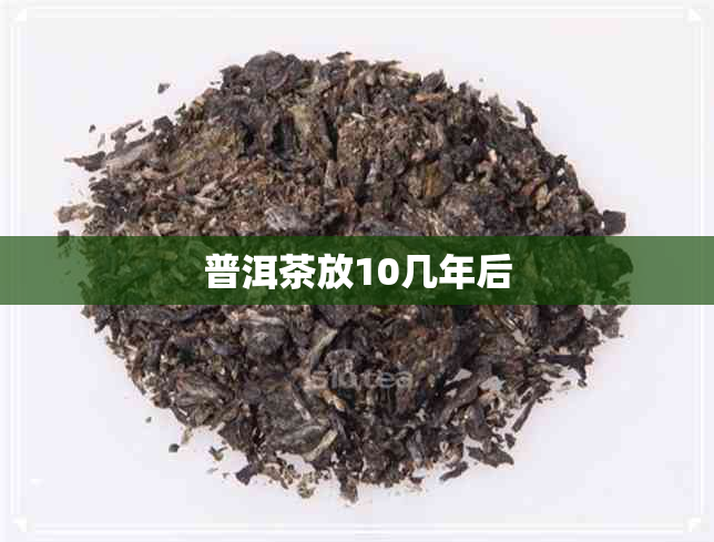 普洱茶放10几年后