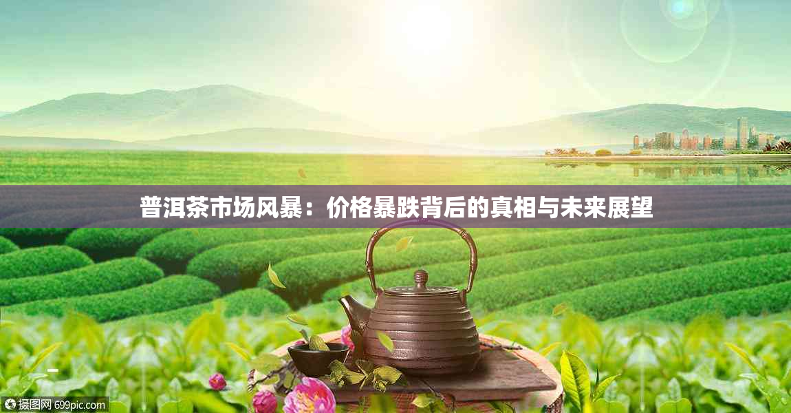 普洱茶市场风暴：价格暴跌背后的真相与未来展望