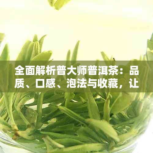 全面解析普大师普洱茶：品质、口感、泡法与收藏，让你了解这款茶的一切