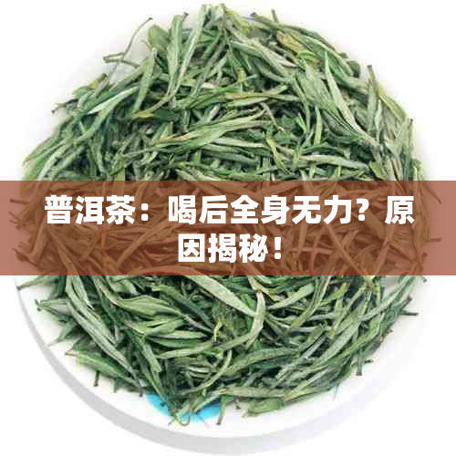 普洱茶：喝后全身无力？原因揭秘！