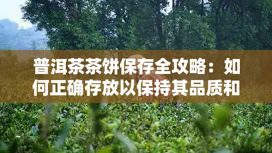 普洱茶茶饼保存全攻略：如何正确存放以保持其品质和口感