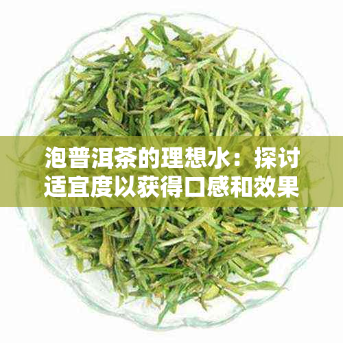 泡普洱茶的理想水：探讨适宜度以获得口感和效果