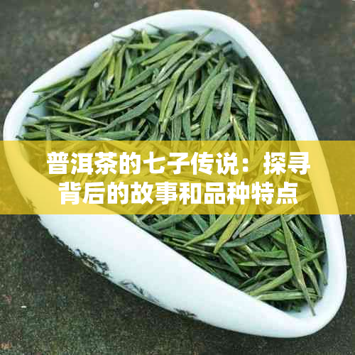 普洱茶的七子传说：探寻背后的故事和品种特点