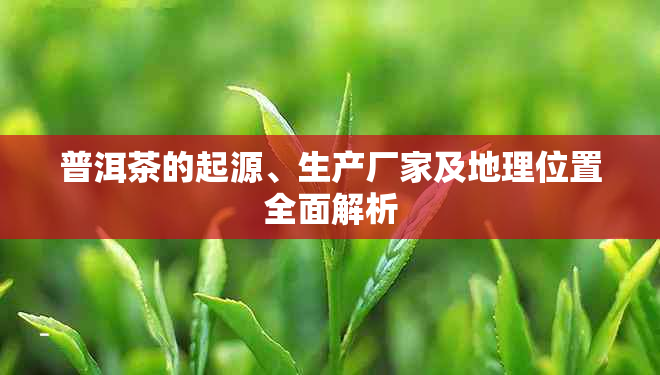 普洱茶的起源、生产厂家及地理位置全面解析