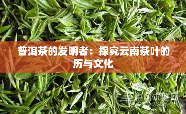 普洱茶的发明者：探究云南茶叶的历与文化