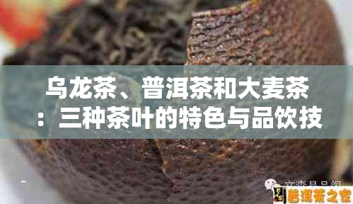 乌龙茶、普洱茶和大麦茶：三种茶叶的特色与品饮技巧