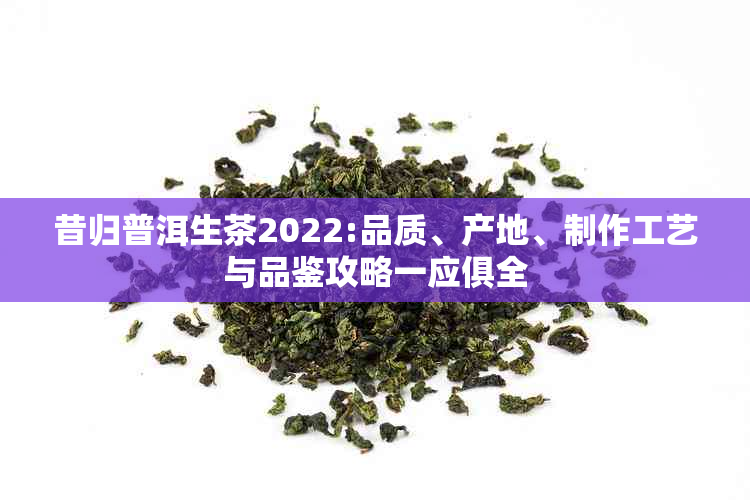 昔归普洱生茶2022:品质、产地、制作工艺与品鉴攻略一应俱全