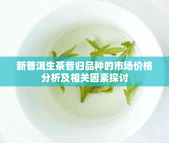 新普洱生茶昔归品种的市场价格分析及相关因素探讨