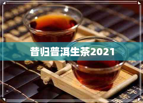 昔归普洱生茶2021