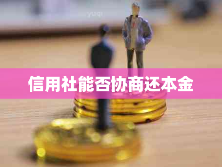 信用社能否协商还本金