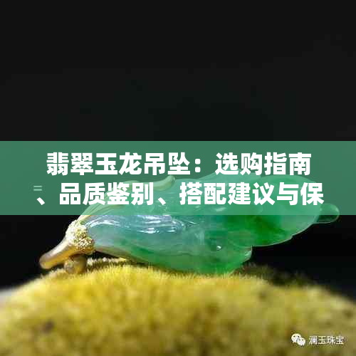 翡翠玉龙吊坠：选购指南、品质鉴别、搭配建议与保养方法一应俱全