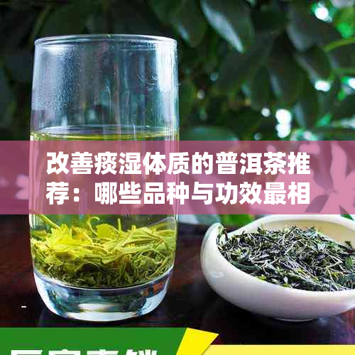 改善痰湿体质的普洱茶推荐：哪些品种与功效最相？