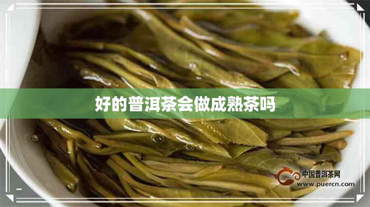 好的普洱茶会做成熟茶吗