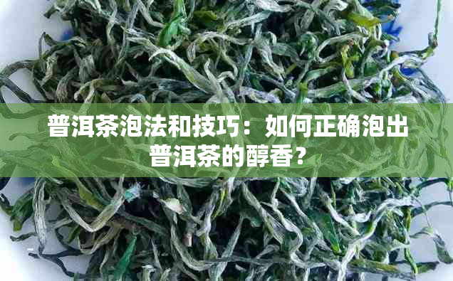 普洱茶泡法和技巧：如何正确泡出普洱茶的醇香？