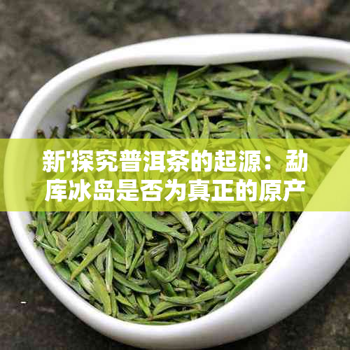 新'探究普洱茶的起源：勐库冰岛是否为真正的原产地？'