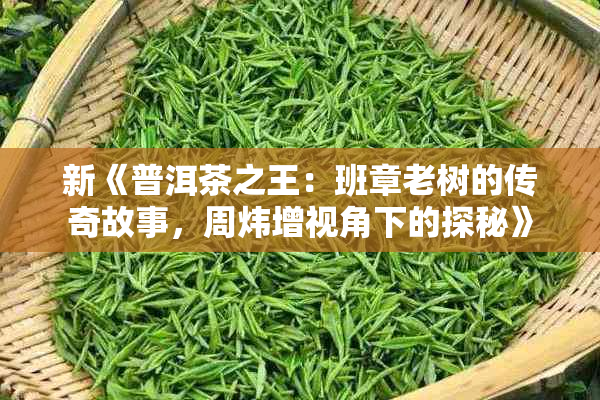 新《普洱茶之王：班章老树的传奇故事，周炜增视角下的探秘》