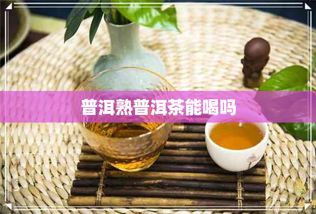 普洱熟普洱茶能喝吗