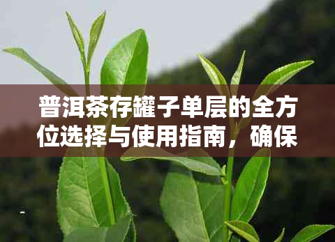 普洱茶存罐子单层的全方位选择与使用指南，确保茶叶保持品质