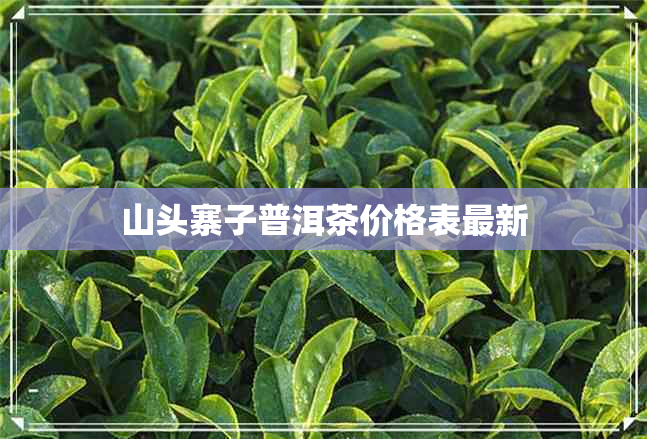 山头寨子普洱茶价格表最新