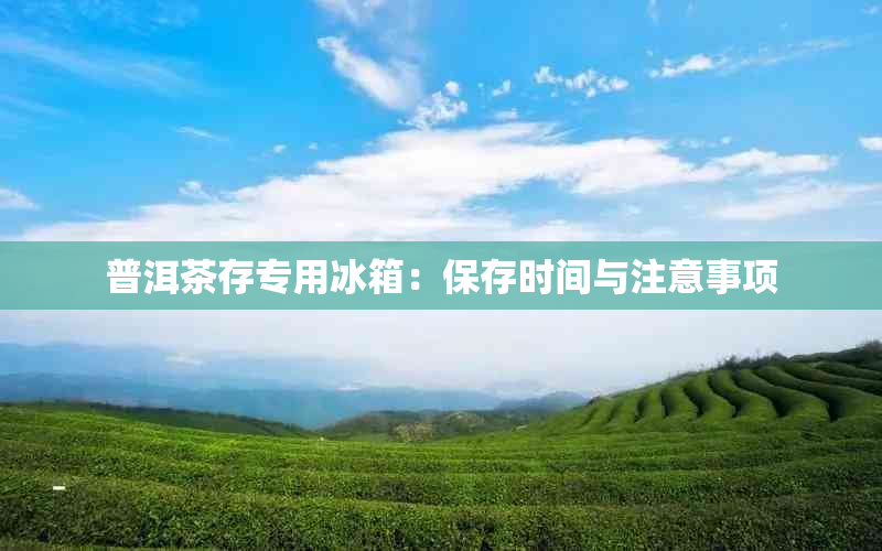 普洱茶存专用冰箱：保存时间与注意事项