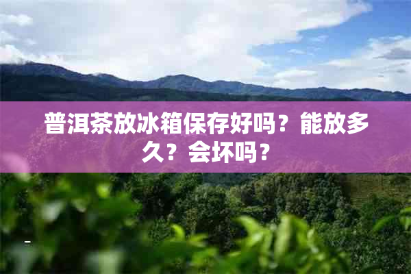 普洱茶放冰箱保存好吗？能放多久？会坏吗？