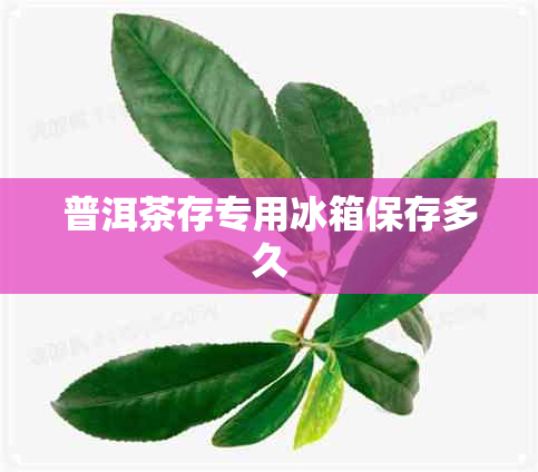 普洱茶存专用冰箱保存多久