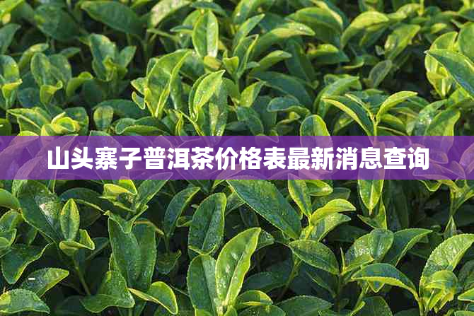 山头寨子普洱茶价格表最新消息查询