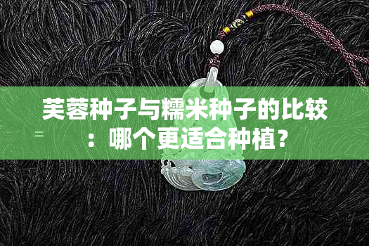 芙蓉种子与糯米种子的比较：哪个更适合种植？