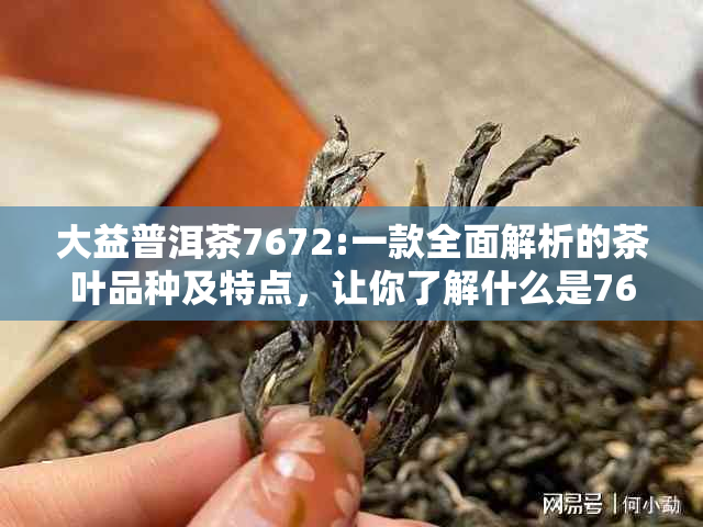 大益普洱茶7672:一款全面解析的茶叶品种及特点，让你了解什么是7672