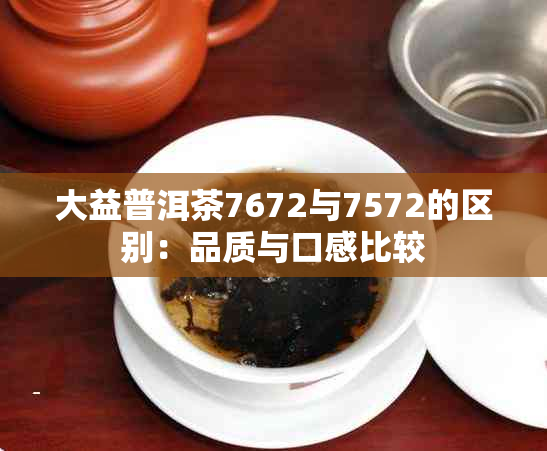 大益普洱茶7672与7572的区别：品质与口感比较