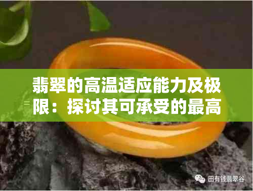 翡翠的高温适应能力及极限：探讨其可承受的更高温度是多少度