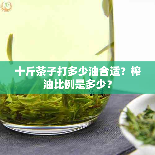 十斤茶子打多少油合适？榨油比例是多少？