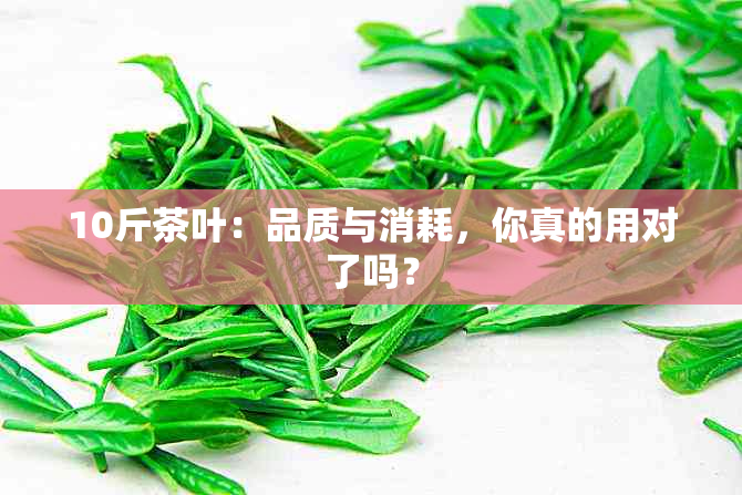 10斤茶叶：品质与消耗，你真的用对了吗？