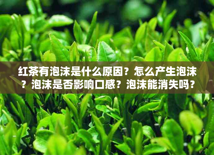 红茶有泡沫是什么原因？怎么产生泡沫？泡沫是否影响口感？泡沫能消失吗？