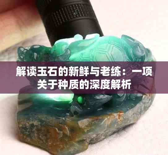 解读玉石的新鲜与老练：一项关于种质的深度解析