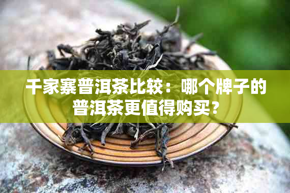 千家寨普洱茶比较：哪个牌子的普洱茶更值得购买？