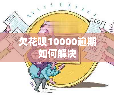 欠花呗10000逾期如何解决