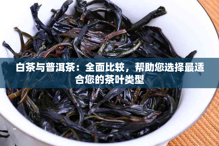 白茶与普洱茶：全面比较，帮助您选择最适合您的茶叶类型