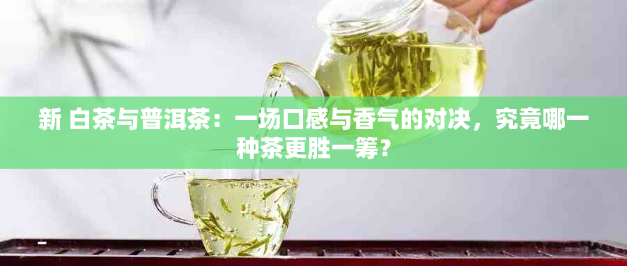 新 白茶与普洱茶：一场口感与香气的对决，究竟哪一种茶更胜一筹？