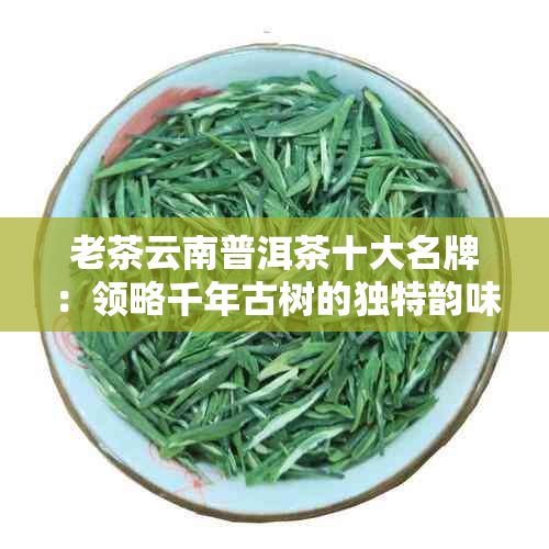 老茶云南普洱茶十大名牌：领略千年古树的独特韵味