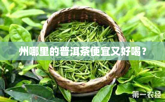 州哪里的普洱茶便宜又好喝？