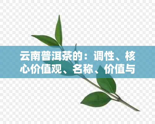 云南普洱茶的：调性、核心价值观、名称、价值与推广