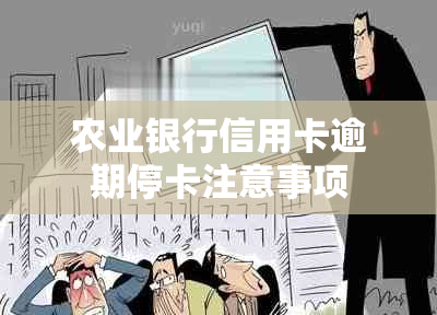 农业银行信用卡逾期停卡注意事项