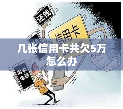 几张信用卡共欠5万怎么办