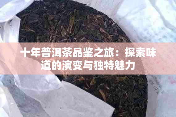 十年普洱茶品鉴之旅：探索味道的演变与独特魅力