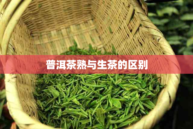 普洱茶熟与生茶的区别