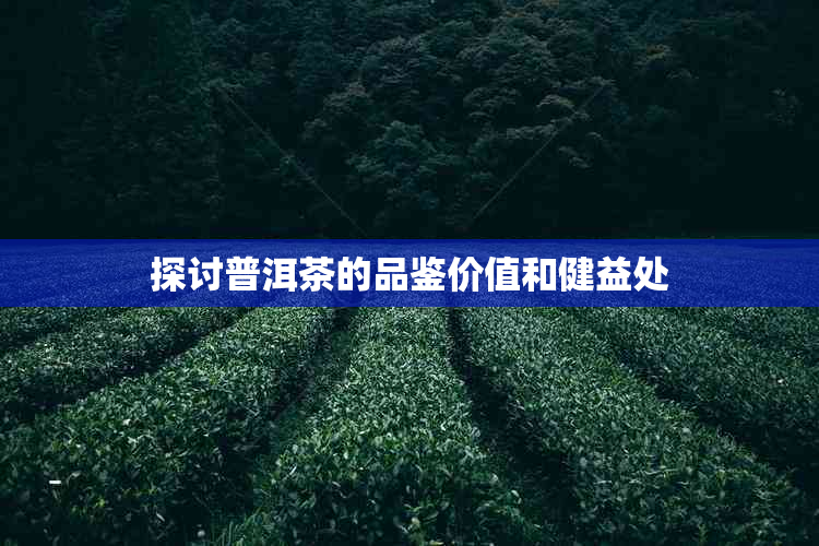 探讨普洱茶的品鉴价值和健益处