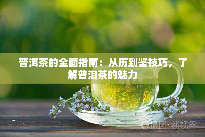 普洱茶的全面指南：从历到鉴技巧，了解普洱茶的魅力